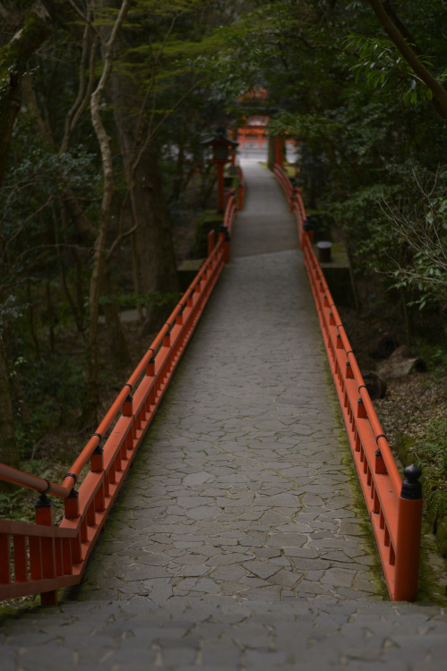 Usa Jingu, Oita, March 2022