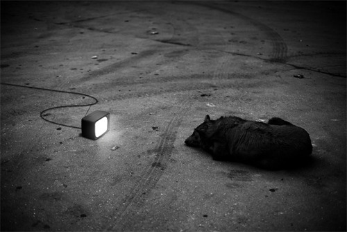 vanished:  Tebe Interesno