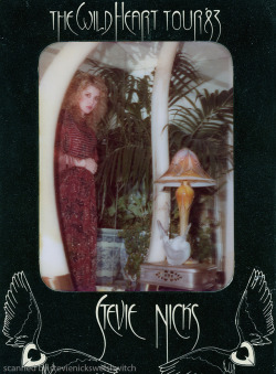 Stevie Nicks Welsh Witch