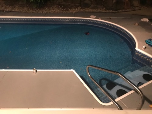 redwavelove: swimming pool full of liquor, then you dive in it