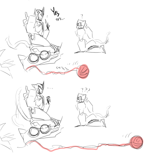 iyyokuk-lucid:  how to be a muture cat