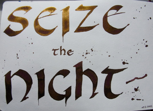 Diamine’s Seize the Night fountain pen ink, photographed in the sunlight. I used a 10mm dip pen nib 