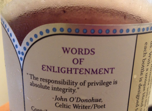 &ldquo;The responsibility of privilege is absolute integrity.&rdquo; - John Donohue Submitted by the