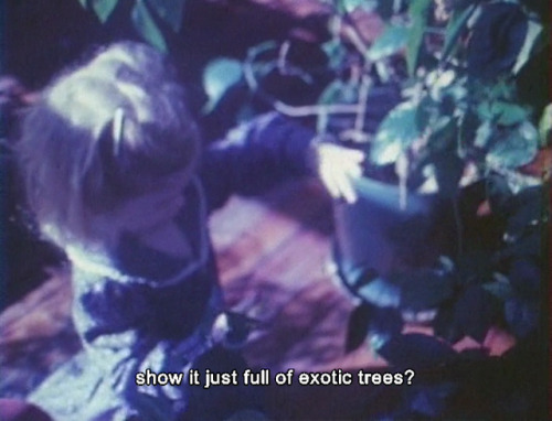 cinema0: As I Was Moving Ahead Occasionally I Saw Brief Glimpses of Beauty 2000, dir. Jonas Mek
