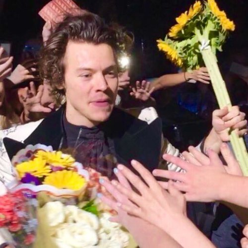 dezzertgurl:Harry Styles with flowers appreciation pictures. You’re welcome.