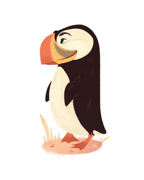 I think Puffins are underrated. They are like penguins, but with naturally cartoonish expressions, i