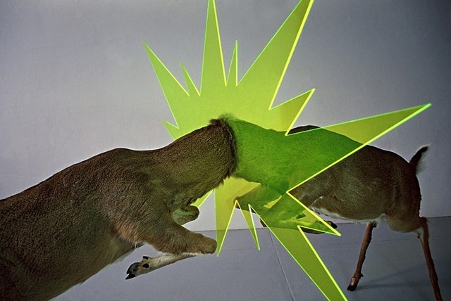 stephanieandstuff:  exhibition-ism:  The electric works of Los Angeles based artist