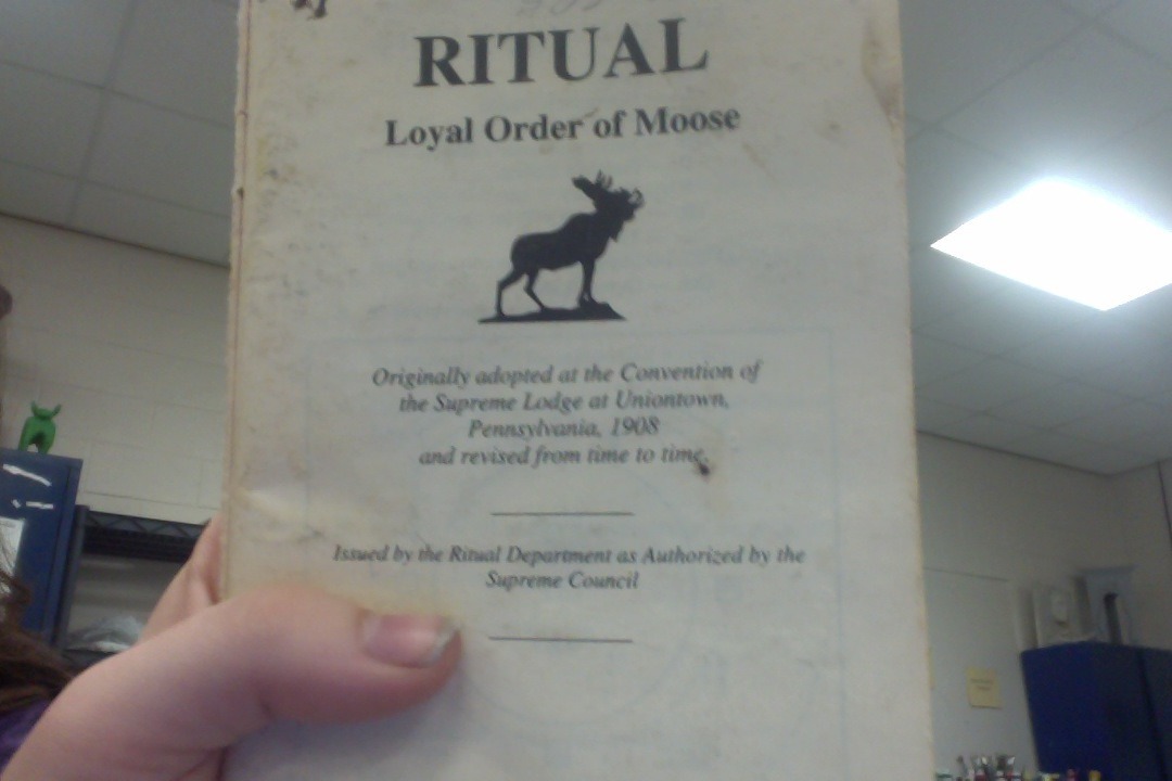johnimholmes:  johnimholmes:  i am about 85% sure that i just found the moose bible     i am not even joking 