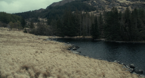 Porn Pics lmxmhr:The Lobster (2015) dir. Yorgos Lanthimos