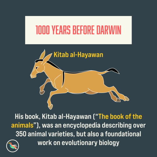wallaceevolution:Special post for reaching 1000 followers on instagram! While Darwin is often credit