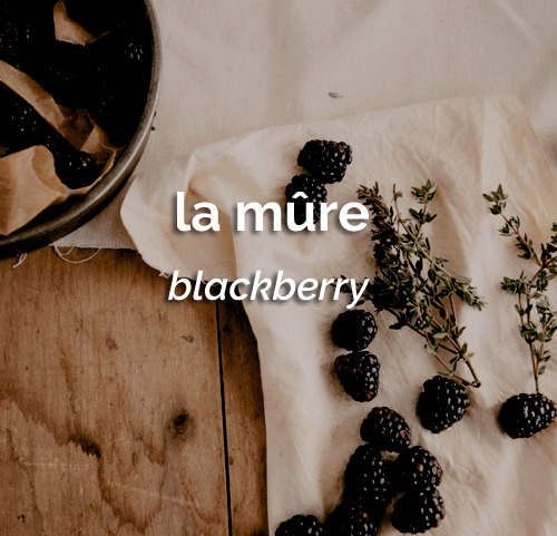 dailyfrench:le 3 décembre   ⋮   la mûre   ⋮   blackberry 
