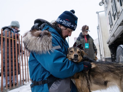 shikokuken:Meet Quince Mountain, the Iditarod’s first transgender dog musher