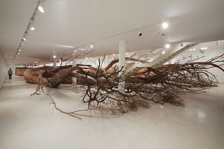 darksilenceinsuburbia:  Henrique Oliveira: Transarquitetonica,2014Museu de Arte Contemporânea,
