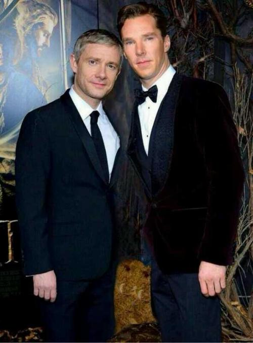 dudeufugly: ohlookbenedict: queersherlockian: humbledoctorwatson: lestradeshandcuffs: Benedict Cumbe