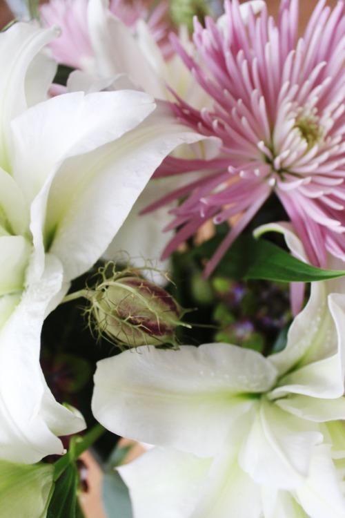 grief-petals:  okay but double lilies though. 