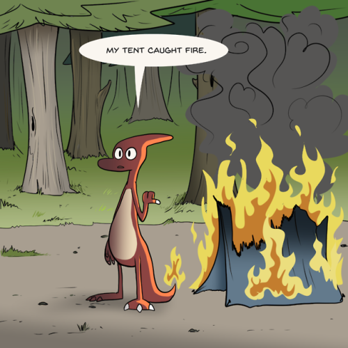 nekoama:  Camping Part 2  Charizard is having adult photos