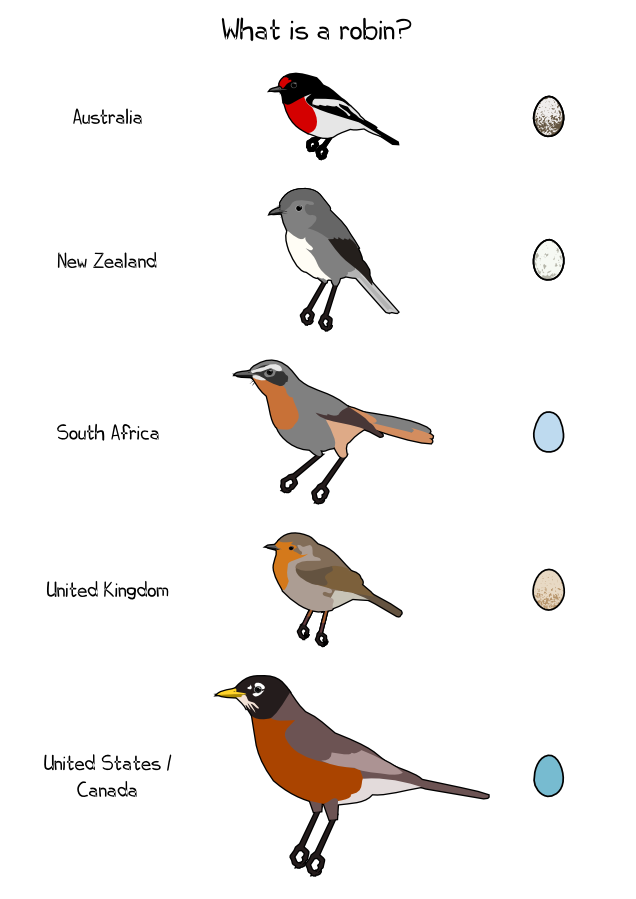 I was musing about robins a while ago. Growing up, I always thought that Christmas card artists had never seen a robin before (UK vs US robin), but now I realize that many English-speaking countries have robins.
Birds are to scale, eggs are not.