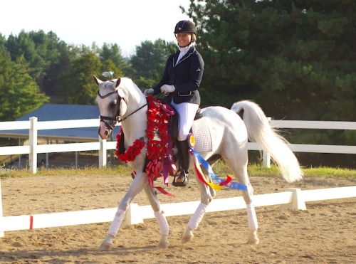 AM Chance Command++++//Am Power Raid x Al-marah ChanelArabian, StallionBorn 2001