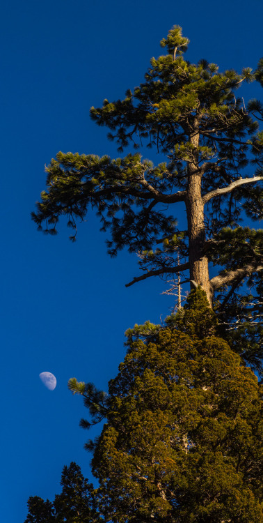 Eagle Lake Loop, Lake Tahoe, CA