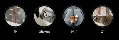 Instagram Highlights.@ Vanjisung