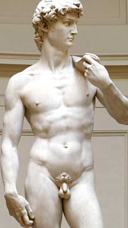 Michelangelo s david