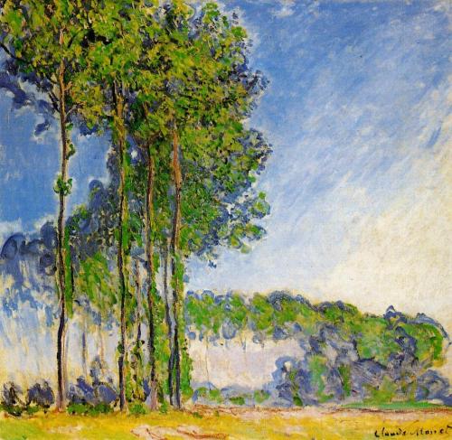 artist-monet:Poplars, View from the Marsh, 1892, Claude Monet