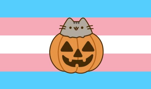 Pusheen Jack O Lantern!
