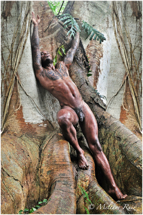 warriorsofmightandmagic:Jabari Ajee by Melchor Ruiz