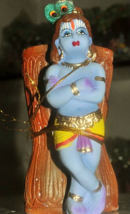 Damodara Krishna 