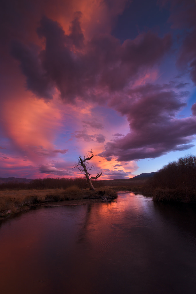 enchanting-landscapes:   	Yegor Malinovskii 	  	 						 			     
