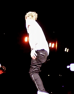 fyonedirection:  ‘i’m fascinated by dolphins’ 