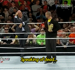 i'm a paul heyman guy