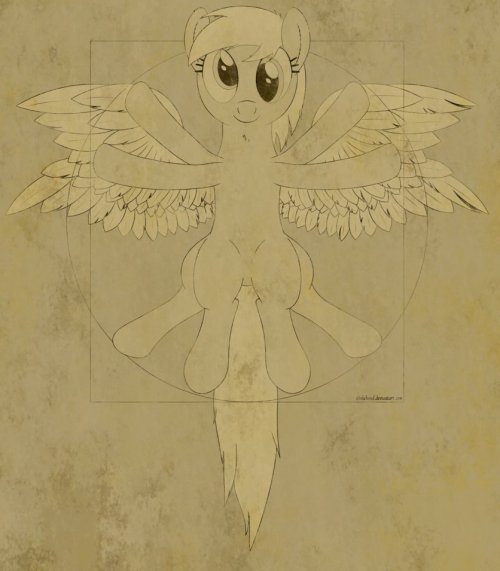 paperderp:  Vitruvian Mare 2.0 by Stinkehund☆  <3