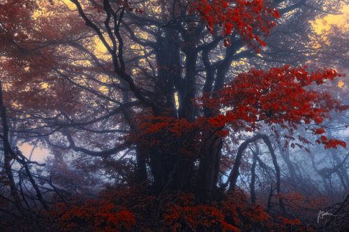 -King of hidden secrets- by *Janek-Sedlar