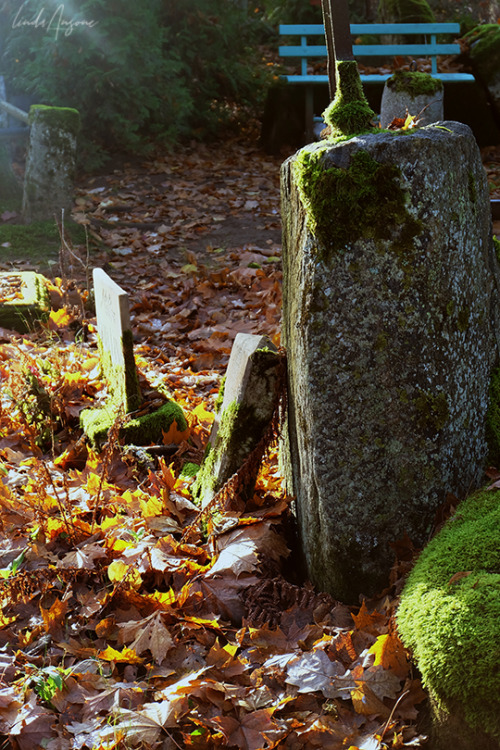 old grave