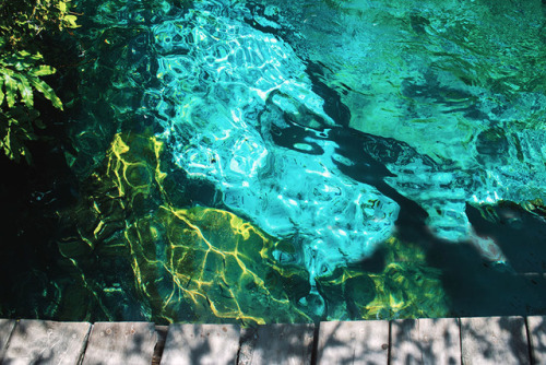 boudhabar:Deep blue and tourquoise water in the Gran Cenote of Tulum, Mexico