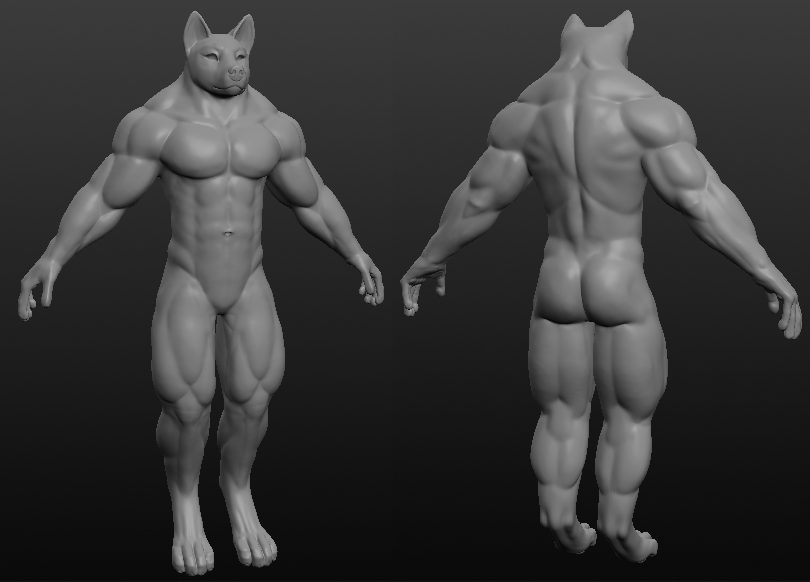 anthro wolf 3d model