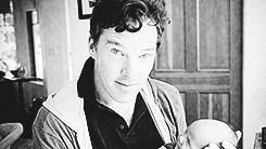 thedoctorsjawn:  ♥ HAPPY BIRTHDAY Benedict Cumberbatch ♥ 