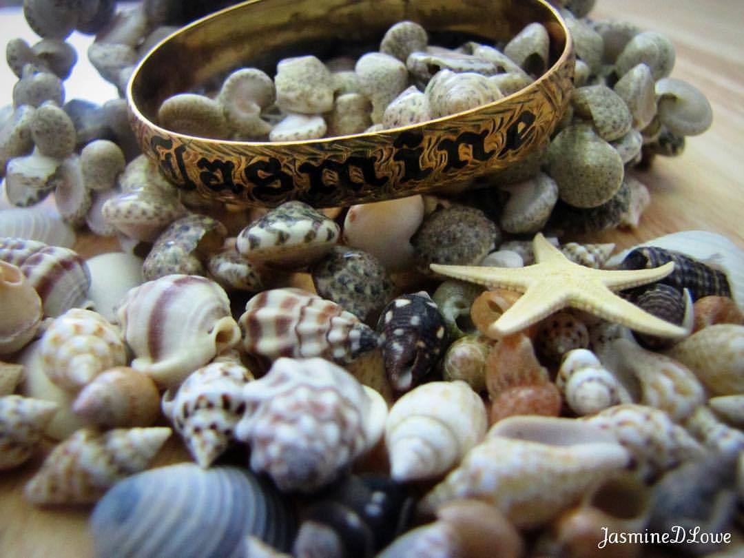 #tbt to when I used to be obsessed with #photography. #seashells