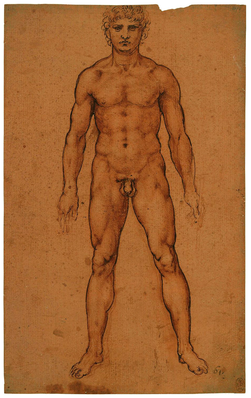 Nude man by Leonardo da Vinci | c. 1504-1506 | Red chalk and pen and ink on pale