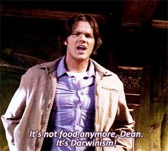 redstainedledger:  Sassy!Sam 'Maybe the spirits are trying to shut down the movie