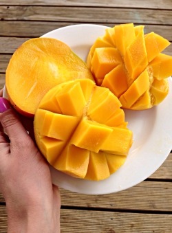 vegantality:  clubmisfits:  recoveringbambi:  Legit don’t know how I’m going to cope when the mango season ends. Mangos are life.  x  the mangoes here in the UK right now are terrible!  