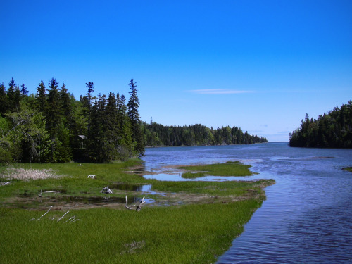 rtwparenting:Cape Breton, Nova Scotia, Canada 