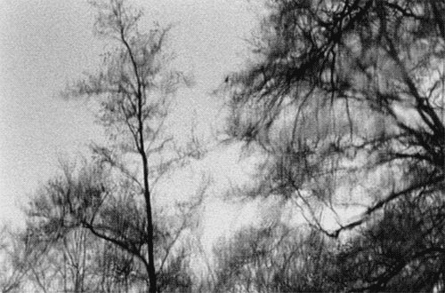 maudit:  "Why am I me and why not you?Why am I here and why not there?When did time begin and where does space end?"