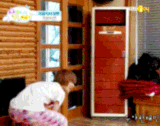 jjongie-poo:  askleetaemin-ah:  Read More  Read More   don’t get me started with that little shit. 