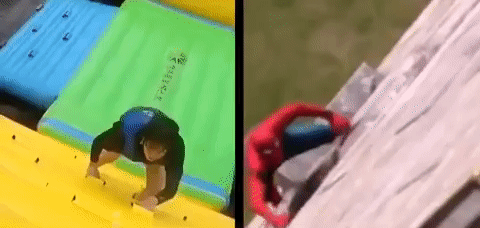 Spiderkoo
