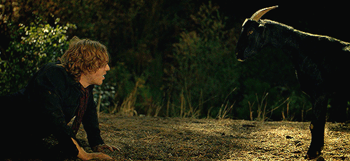 cody-fern: American Horror Story | 8x08