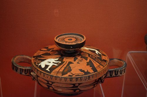 greek-museums:Archaeological Museum of Lamia:The museum of Lamia is probably one of the few museums 