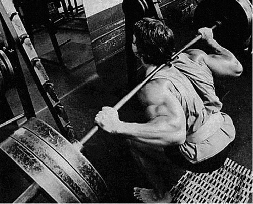 sassyfitqueen:  trainandgain:  SQUATS SQUATS SQUATSSQUATSSQUATSSQUATSSQUATS SQUATS SQUATS