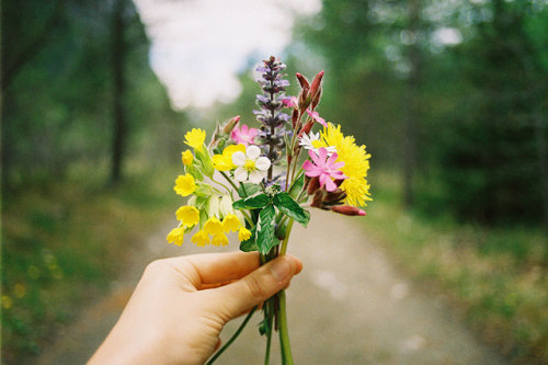 nostalgic-dreaming:  Hiking memories. by Hello i’m Wild ! on Flickr.